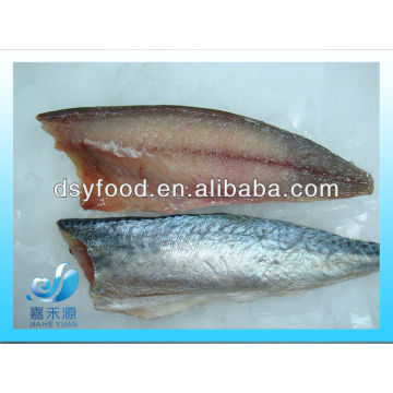 FROZEN PACIFIC MACKEREL FILLET